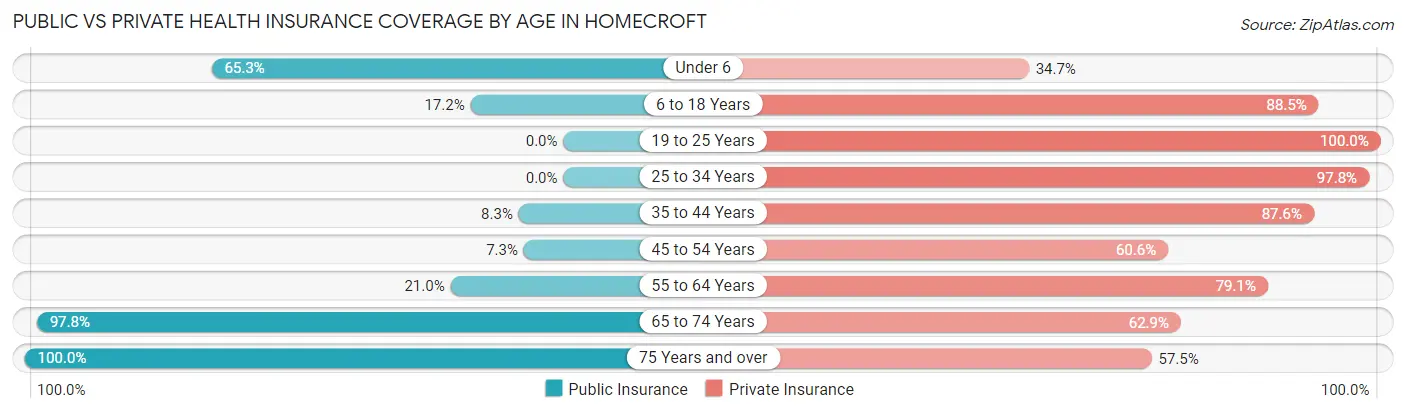 Public vs Private Health Insurance Coverage by Age in Homecroft