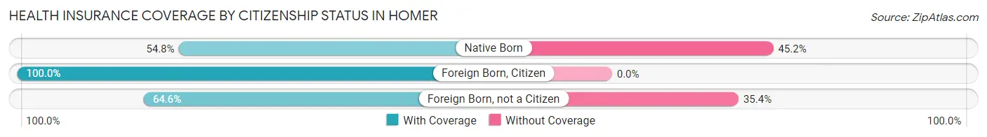 Health Insurance Coverage by Citizenship Status in Homer