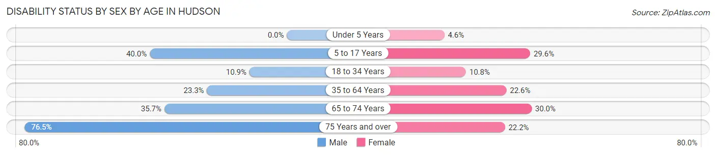 Disability Status by Sex by Age in Hudson