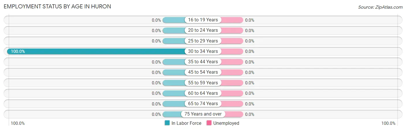 Employment Status by Age in Huron