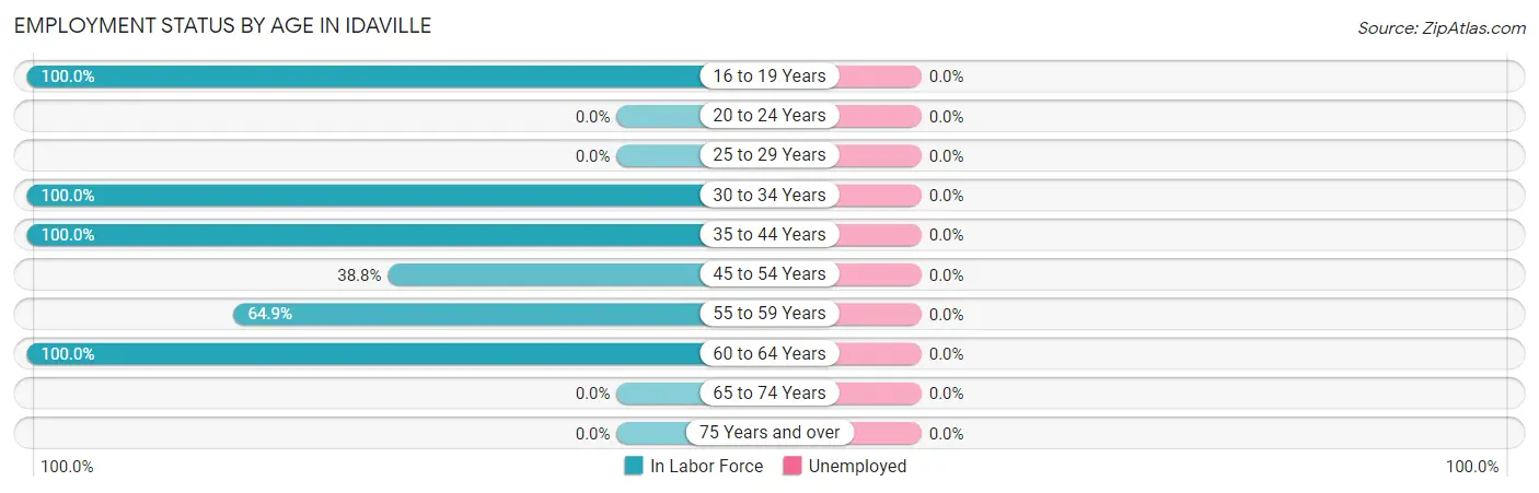 Employment Status by Age in Idaville
