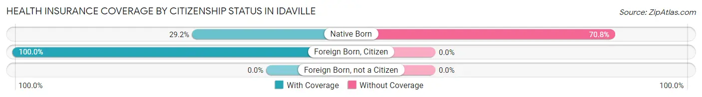 Health Insurance Coverage by Citizenship Status in Idaville