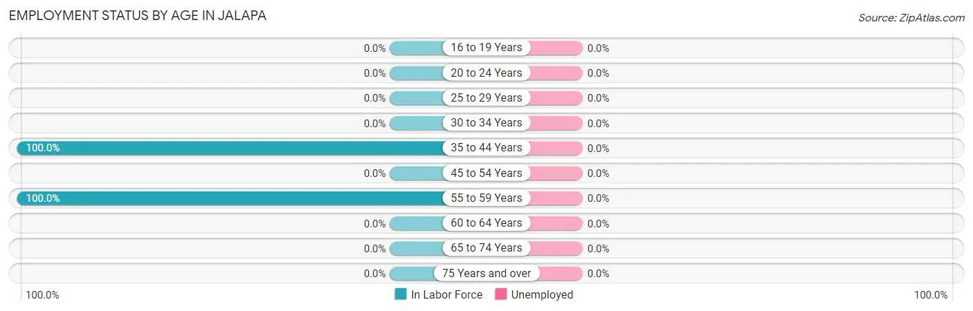 Employment Status by Age in Jalapa