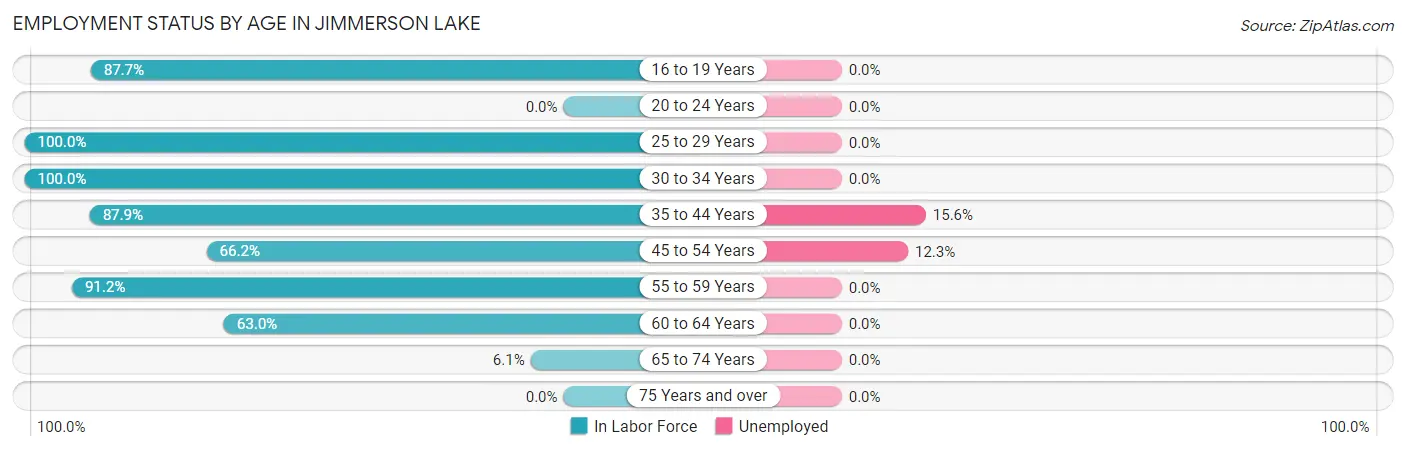 Employment Status by Age in Jimmerson Lake