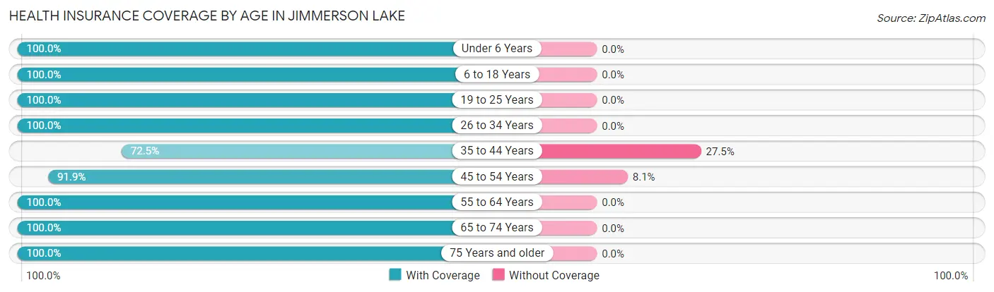 Health Insurance Coverage by Age in Jimmerson Lake