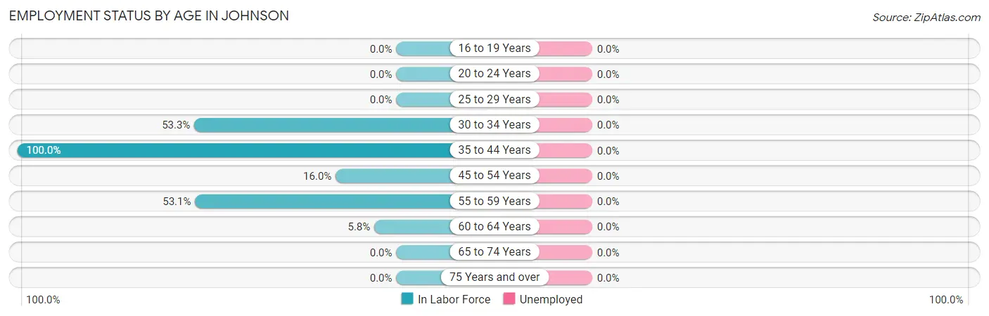 Employment Status by Age in Johnson