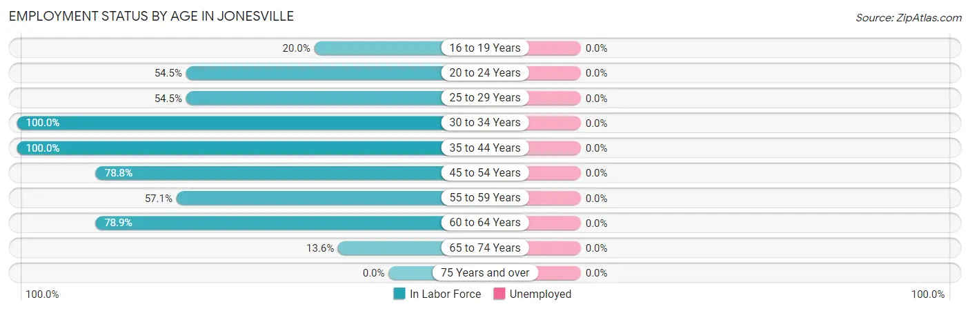 Employment Status by Age in Jonesville