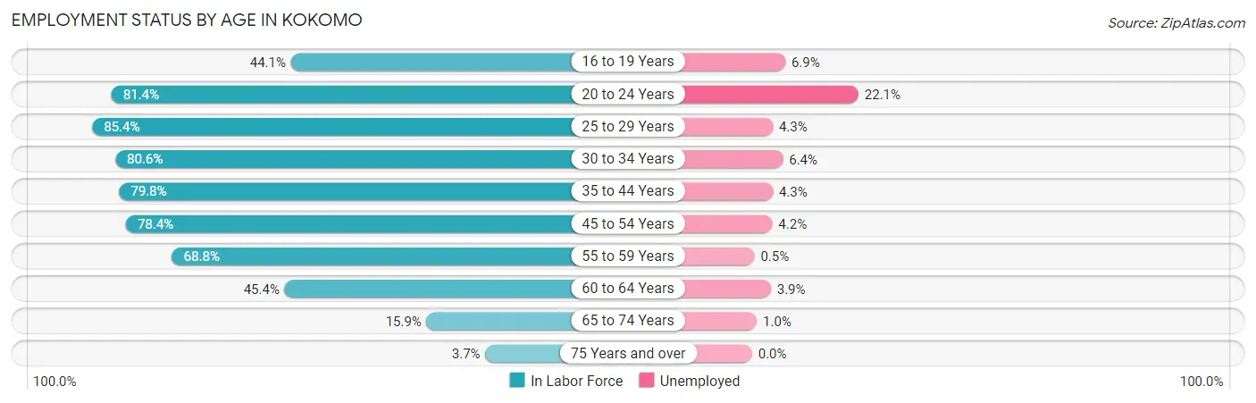 Employment Status by Age in Kokomo