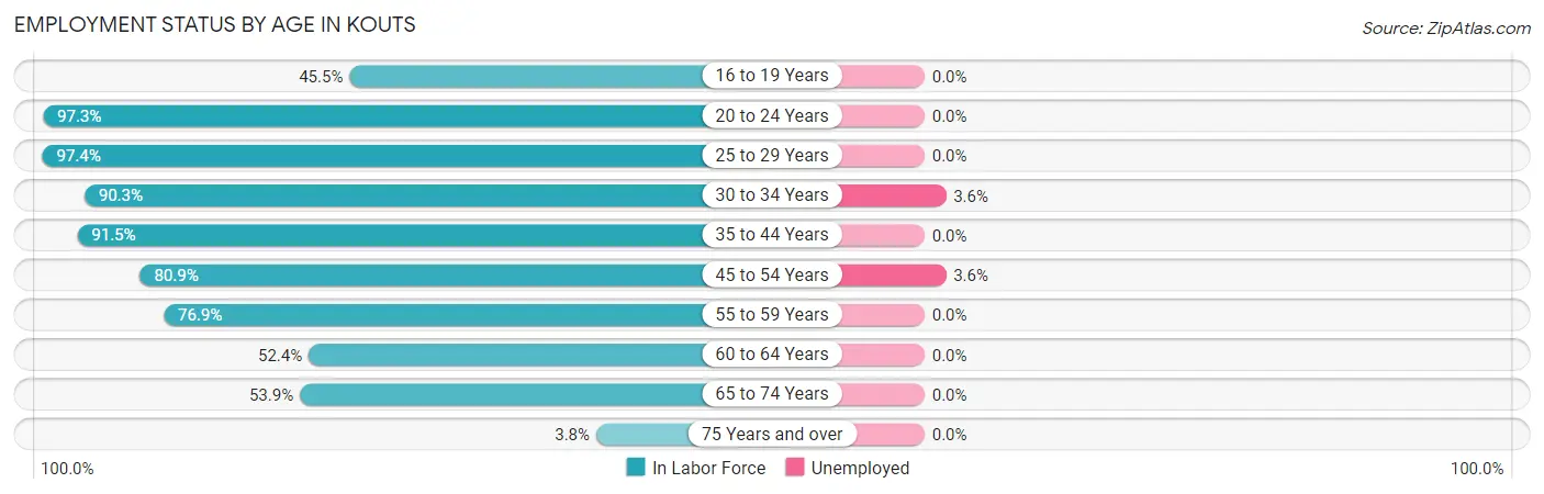 Employment Status by Age in Kouts