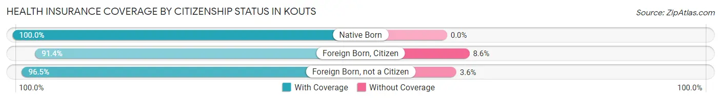 Health Insurance Coverage by Citizenship Status in Kouts