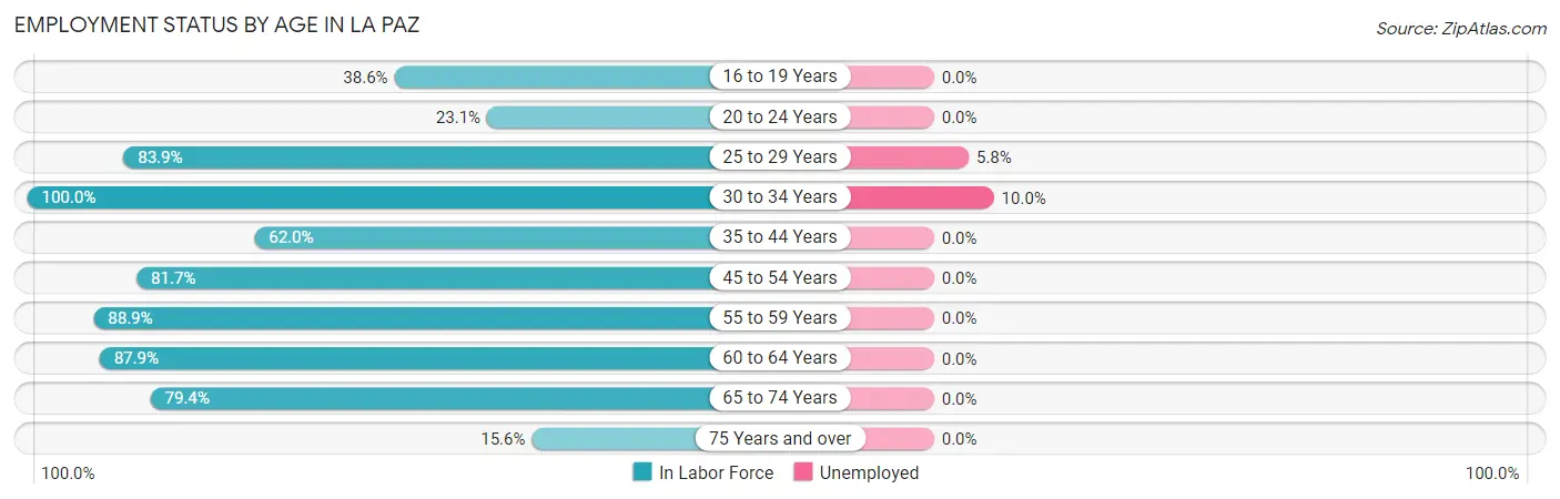 Employment Status by Age in La Paz