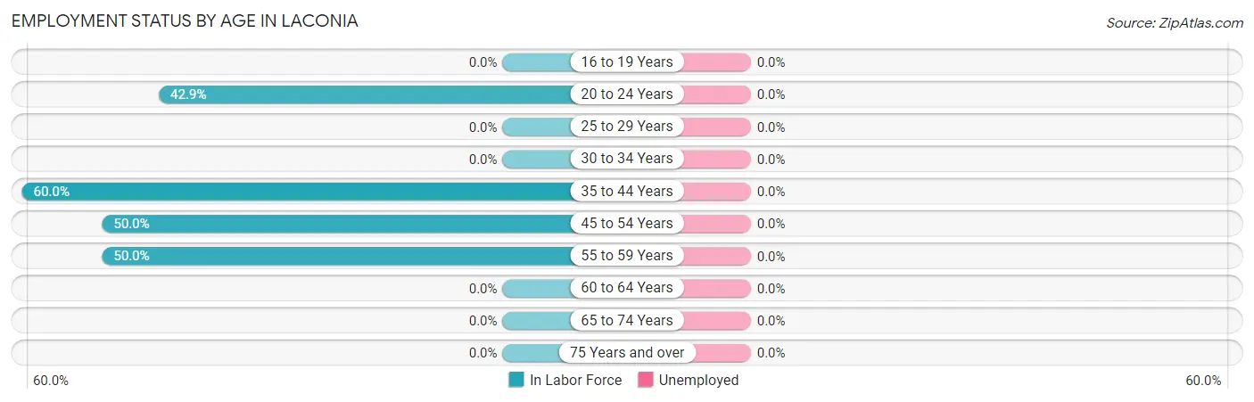Employment Status by Age in Laconia