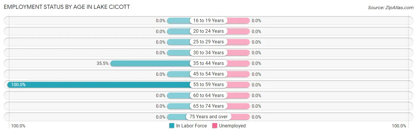Employment Status by Age in Lake Cicott