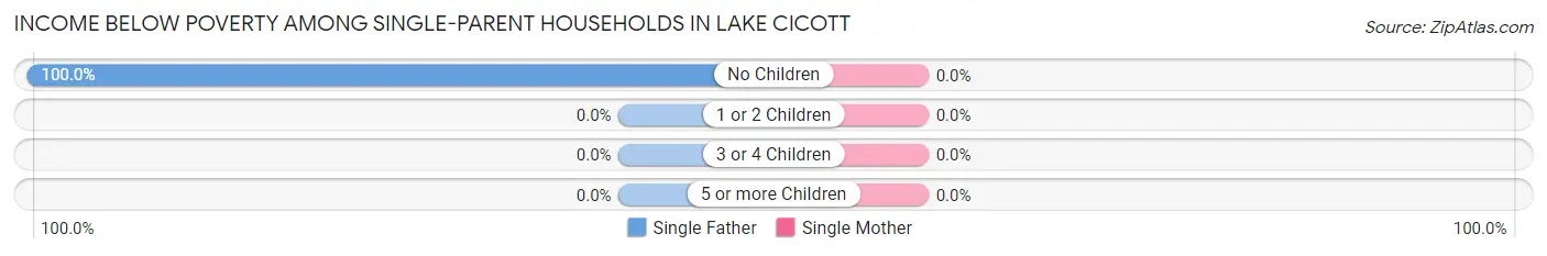 Income Below Poverty Among Single-Parent Households in Lake Cicott