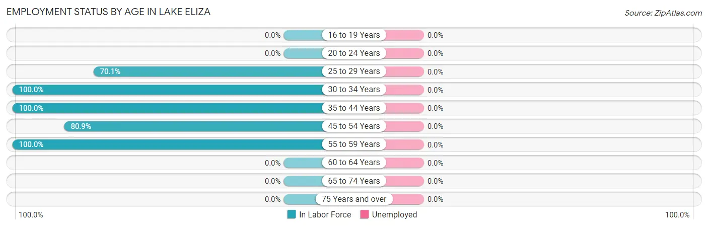 Employment Status by Age in Lake Eliza