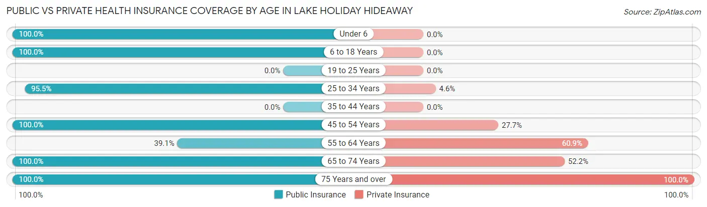 Public vs Private Health Insurance Coverage by Age in Lake Holiday Hideaway