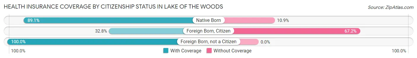 Health Insurance Coverage by Citizenship Status in Lake of the Woods