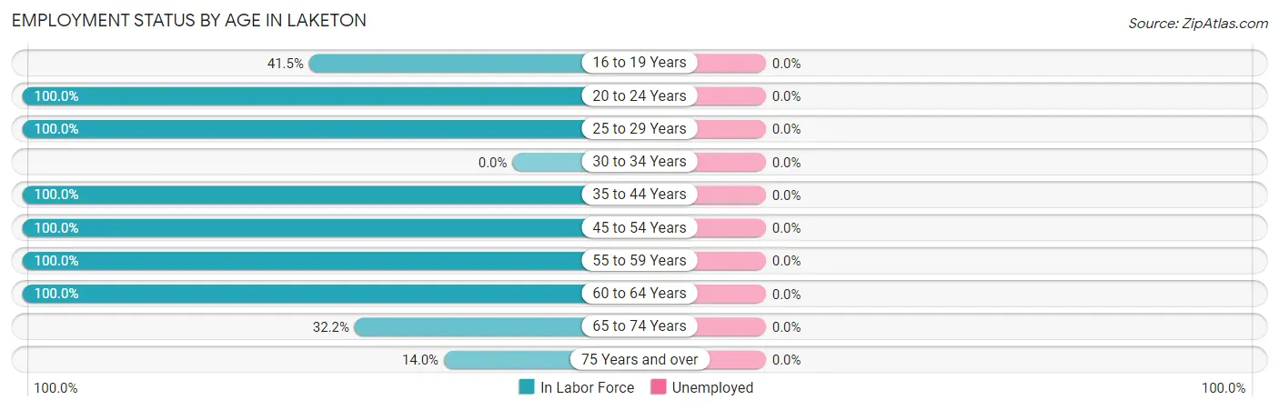 Employment Status by Age in Laketon