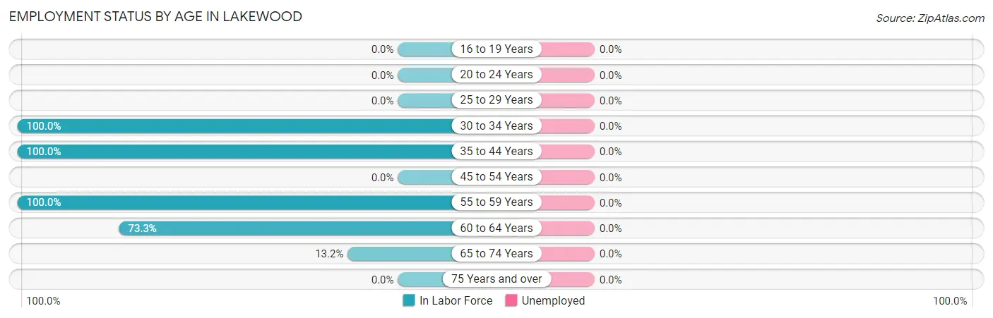 Employment Status by Age in Lakewood