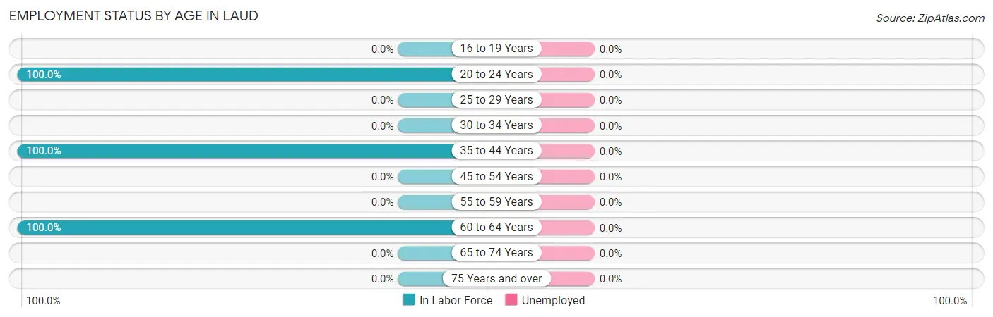 Employment Status by Age in Laud