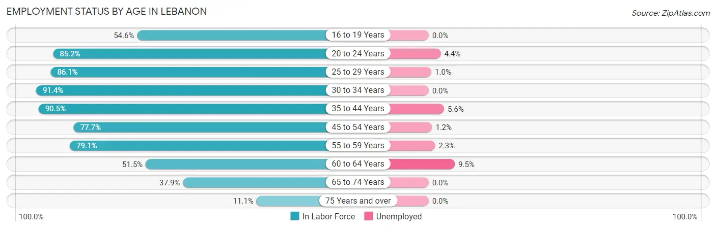 Employment Status by Age in Lebanon