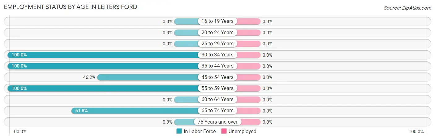 Employment Status by Age in Leiters Ford