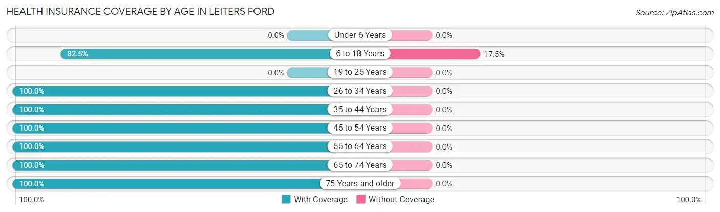 Health Insurance Coverage by Age in Leiters Ford