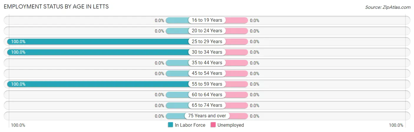 Employment Status by Age in Letts