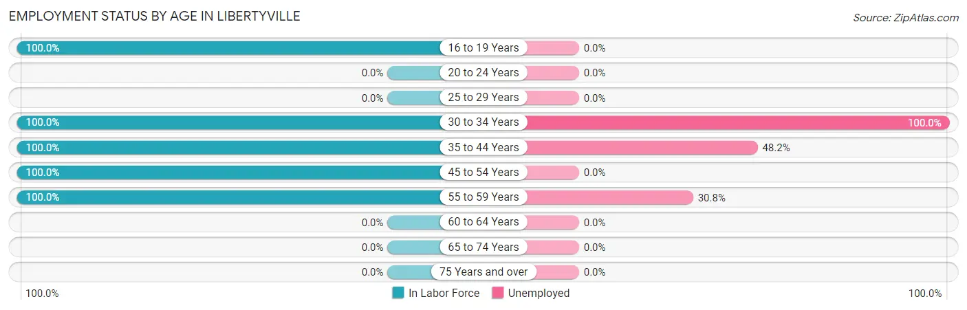 Employment Status by Age in Libertyville