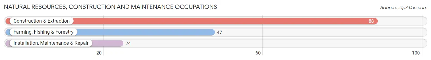 Natural Resources, Construction and Maintenance Occupations in Ligonier