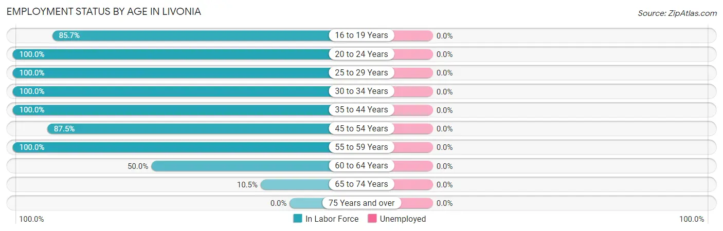 Employment Status by Age in Livonia
