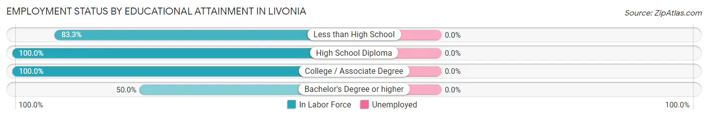 Employment Status by Educational Attainment in Livonia