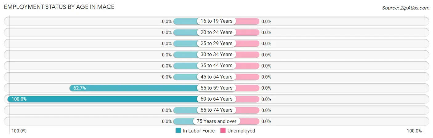 Employment Status by Age in Mace