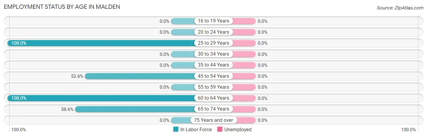 Employment Status by Age in Malden