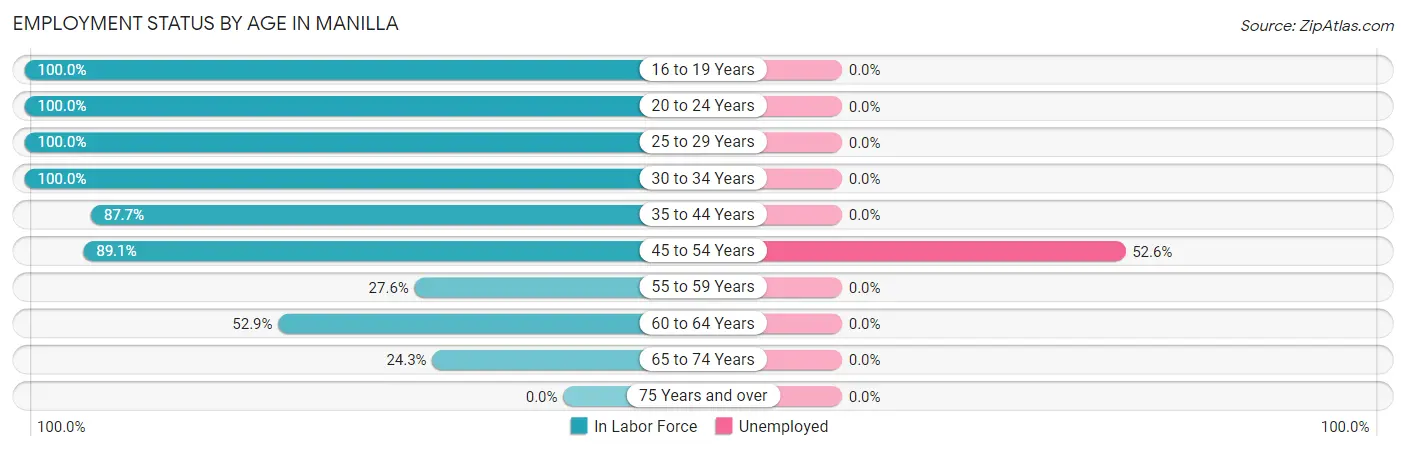 Employment Status by Age in Manilla