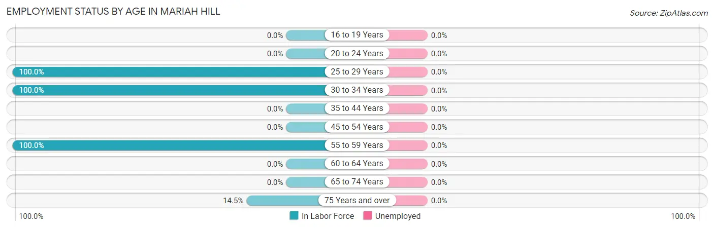 Employment Status by Age in Mariah Hill