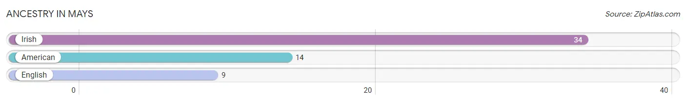 Ancestry in Mays