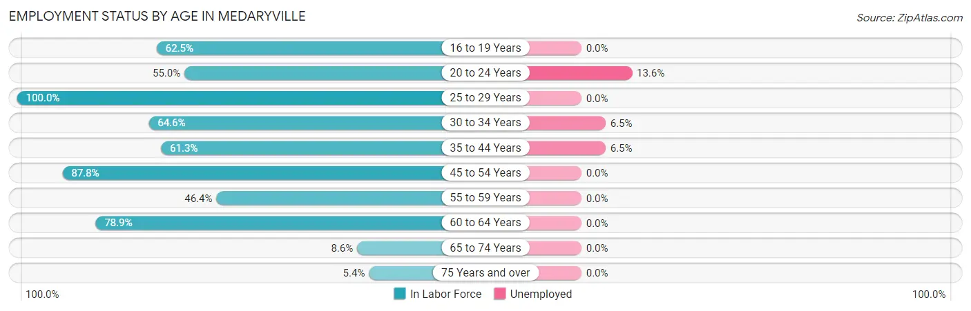 Employment Status by Age in Medaryville
