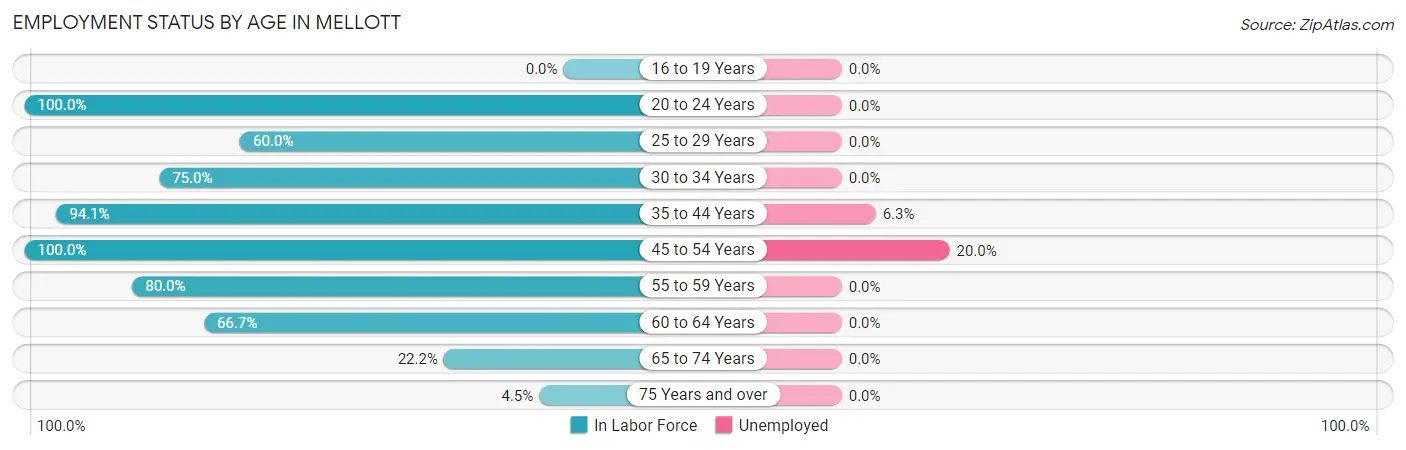 Employment Status by Age in Mellott