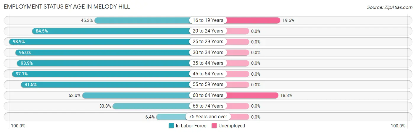 Employment Status by Age in Melody Hill