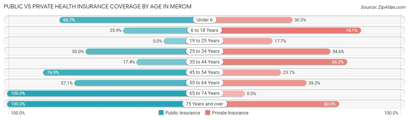 Public vs Private Health Insurance Coverage by Age in Merom