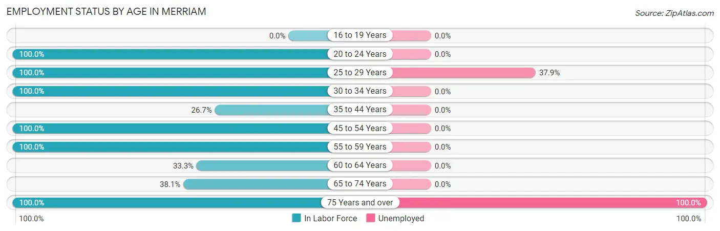 Employment Status by Age in Merriam