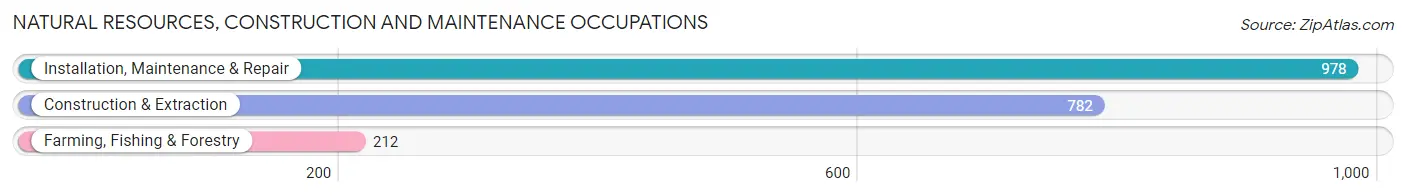 Natural Resources, Construction and Maintenance Occupations in Merrillville