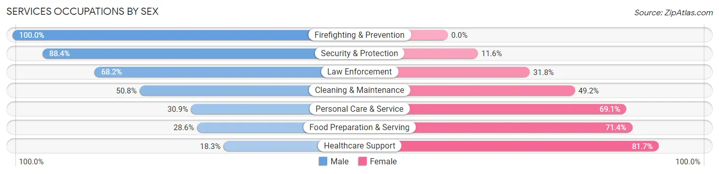 Services Occupations by Sex in Merrillville