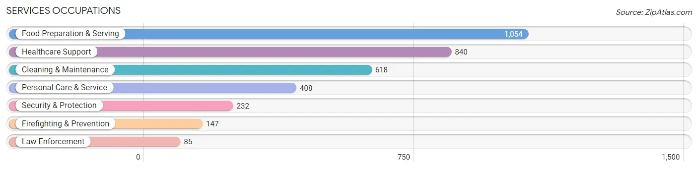 Services Occupations in Merrillville