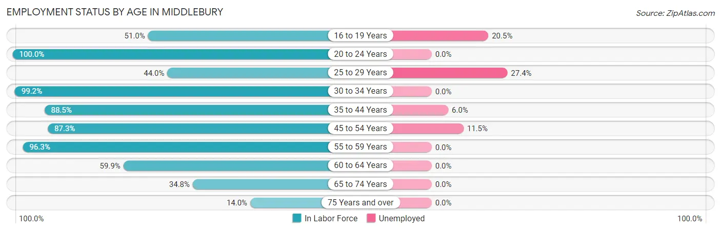 Employment Status by Age in Middlebury