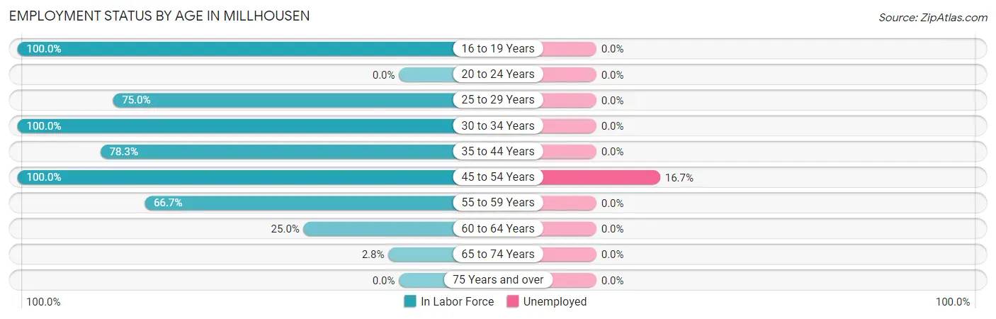 Employment Status by Age in Millhousen
