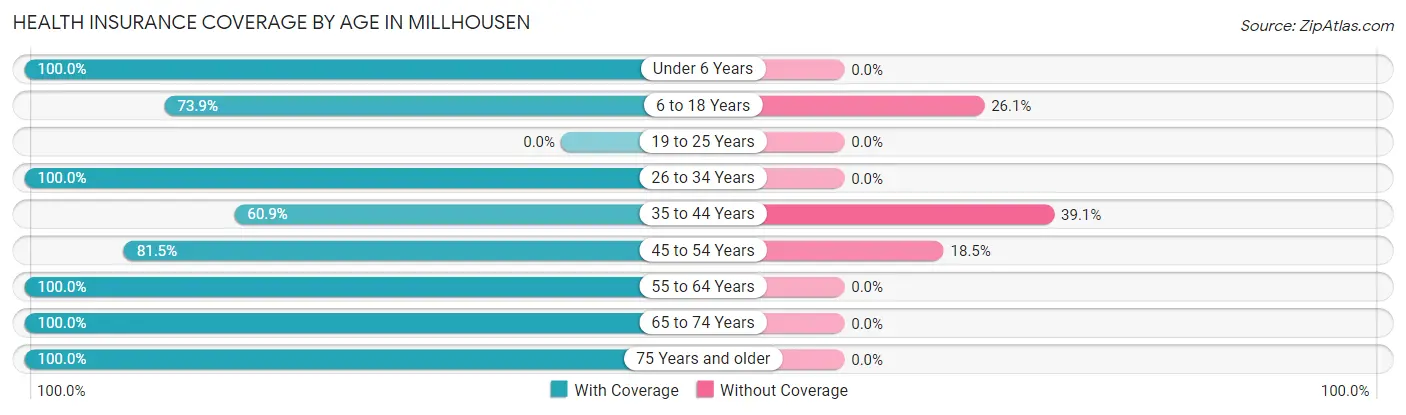 Health Insurance Coverage by Age in Millhousen