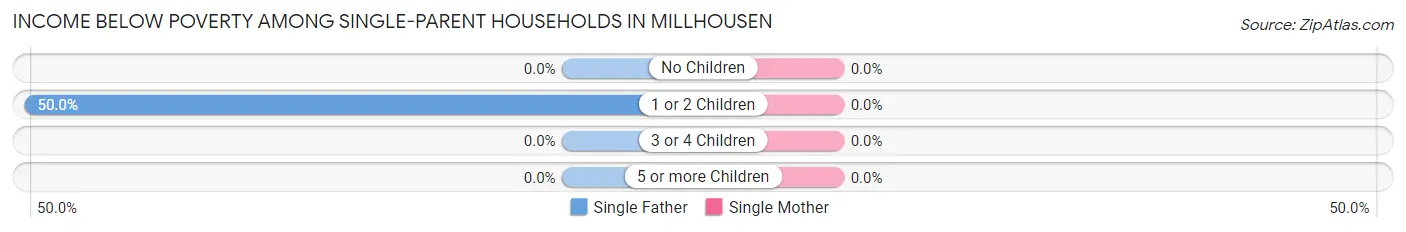 Income Below Poverty Among Single-Parent Households in Millhousen