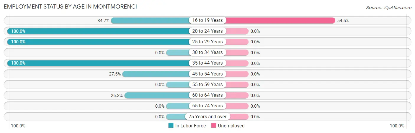 Employment Status by Age in Montmorenci
